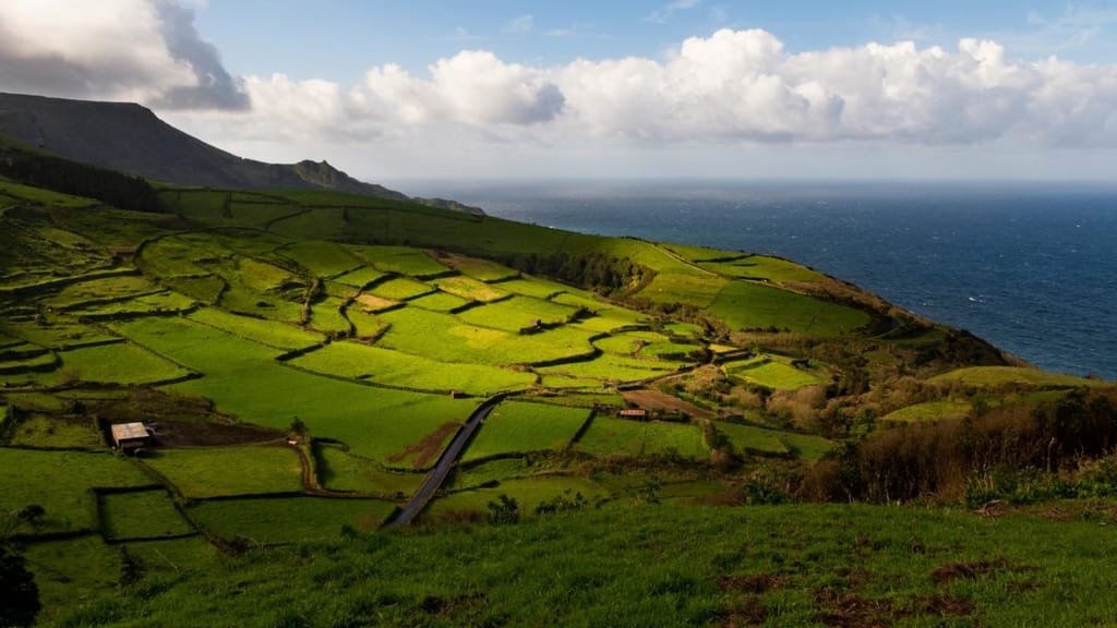 Ilha do Pico, Açores (foto: Kevin et Laurianne/Unsplash)