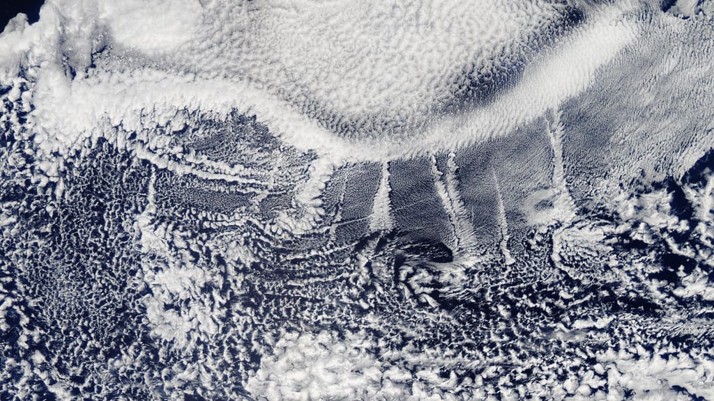 Nuvens longas e estreitas chamadas "rastos de navios" destacam-se no pano de fundo de nuvens marinhas sobre o Oceano Pacífico Norte, a 26 de agosto de 2018. Estas nuvens distintas formam-se quando o vapor de água se condensa em torno de pequenas partículas emitidas pelos navios nos seus gases de escape. Lauren Dauphin/Observatório da Terra da NASA//MODIS data from LANCE/EOSDIS Rapid Response