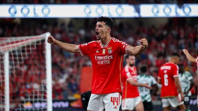Benfica: Tomás Araújo só deve voltar em maio - TVI