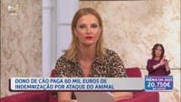 Ataque brutal - Dono de cão paga 60 mil euros de indemnização - TVI