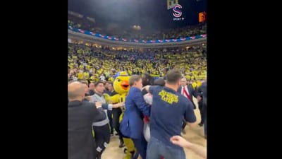 VÍDEO: adeptos do Fenerbahçe atacam jogadores do Mónaco em jogo da Euroliga - TVI
