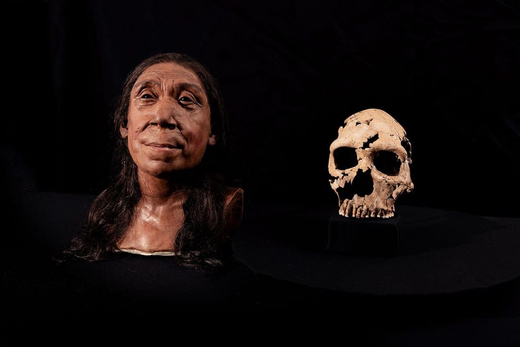 Reconstrução do rosto de Neandertal que viveu há 75 mil anos (CNN)