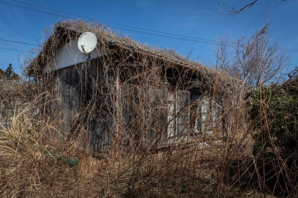 casa abandonada em Okuma, no Japão, a 9 de março de 2023. Yuichi Yamazaki/Getty Images
