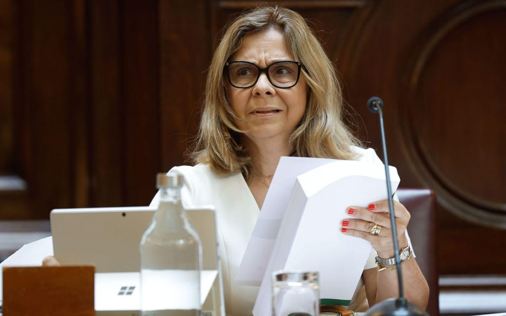 Ministra da Saúde, Ana Paula Martins, no Parlamento (Lusa/António Pedro Santos)