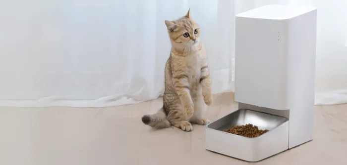 O alimentador automático de cães e gatos da Xiaomi está a um dos preços mais baixos de sempre