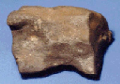 Meteoritos na origem da Terra - TVI
