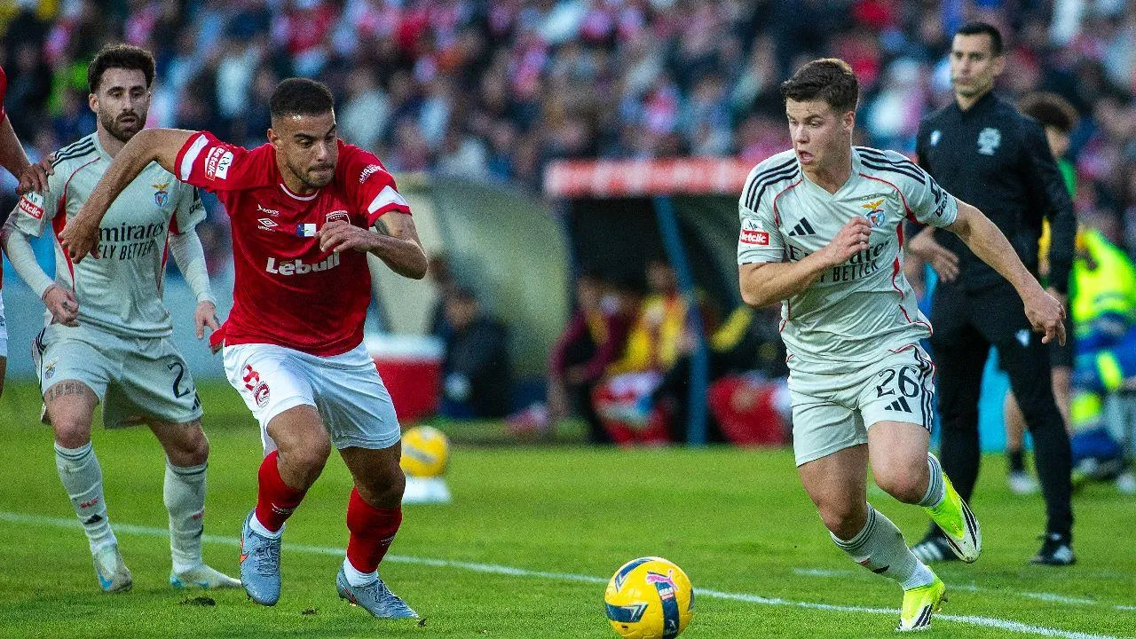 Dúvida no meio-campo: os onzes prováveis de Santa Clara e Benfica