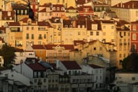 Lisbon Mayor Defends Municipal Housing Output Against Socialist Record