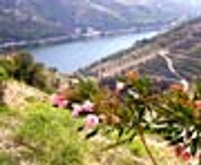 Portugal e Espanha vão investir mil milhões no Vale do Douro - TVI