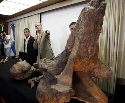 Descobertos sete fósseis de dinossauros - TVI