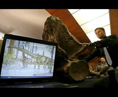 Paleontólogos portugueses premiados por fundação de Spielberg - TVI