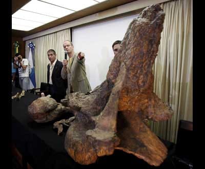 Dinossauros portugueses a património mundial - TVI