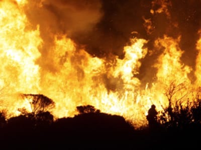 Mais de 1.500 fogos florestais em 18 dias - TVI