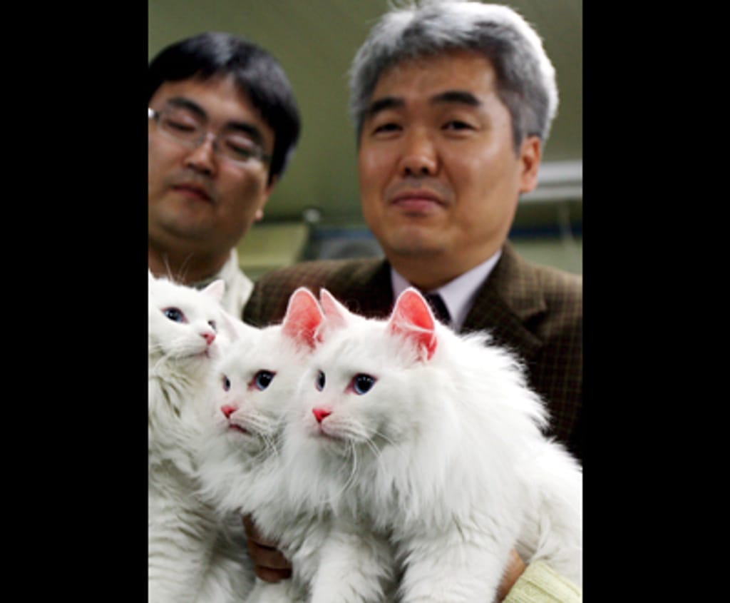 Kong Il-keun, o cientista que liderou a investigação apresenta os gatos - Foto Lusa/EPA