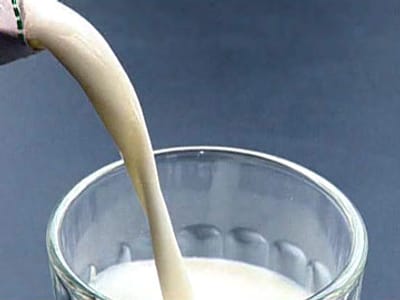 Produtores temem invasão de leite alemão nos «hipers» - TVI