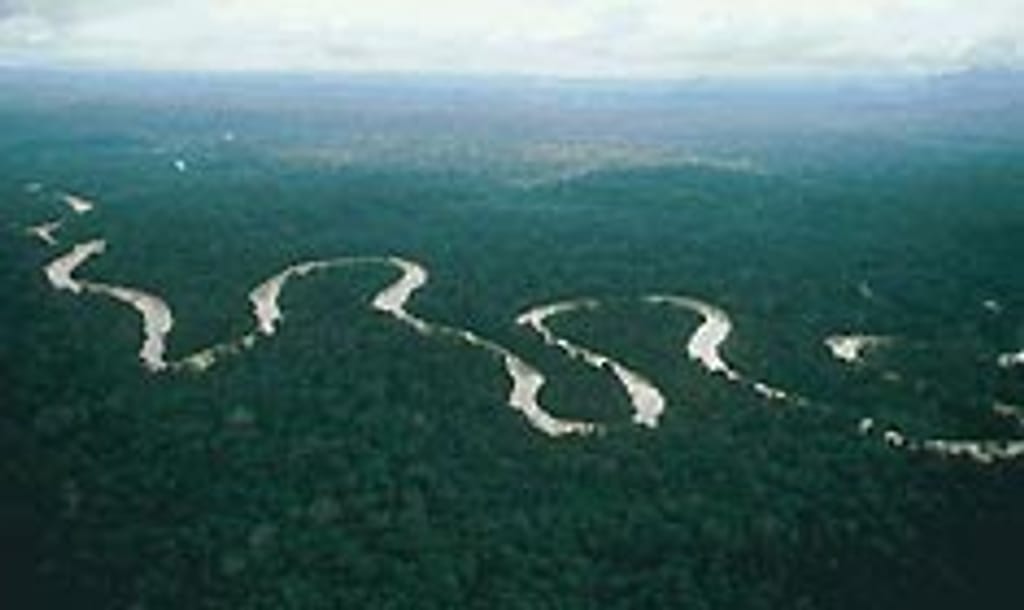 Amazonia M