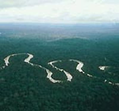 Empresa de Xangai compra 1000 km2 da Floresta Amazónia - TVI