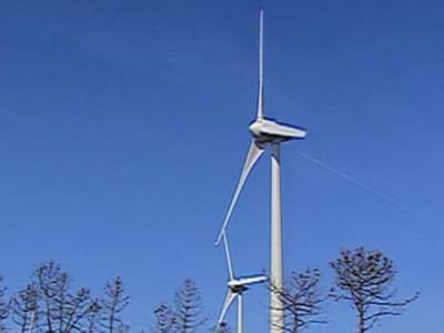 EDP Brasil cria unidade de renováveis para América do Sul - TVI