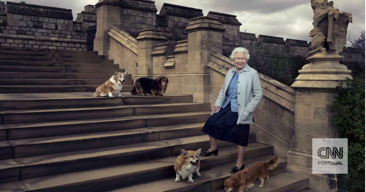 Les vrais chiens ont déjà un foyer.  Les corgis de la reine resteront avec le prince Andrew et Sarah Ferguson