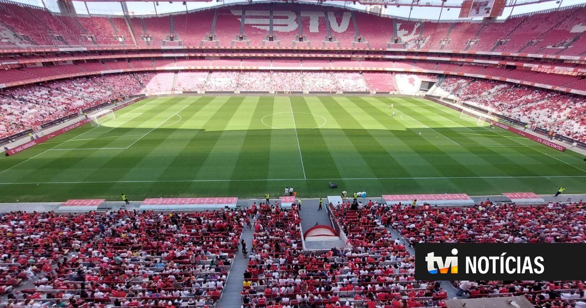 TVI adianta que Ministério Público acredita que o Benfica 'comprou