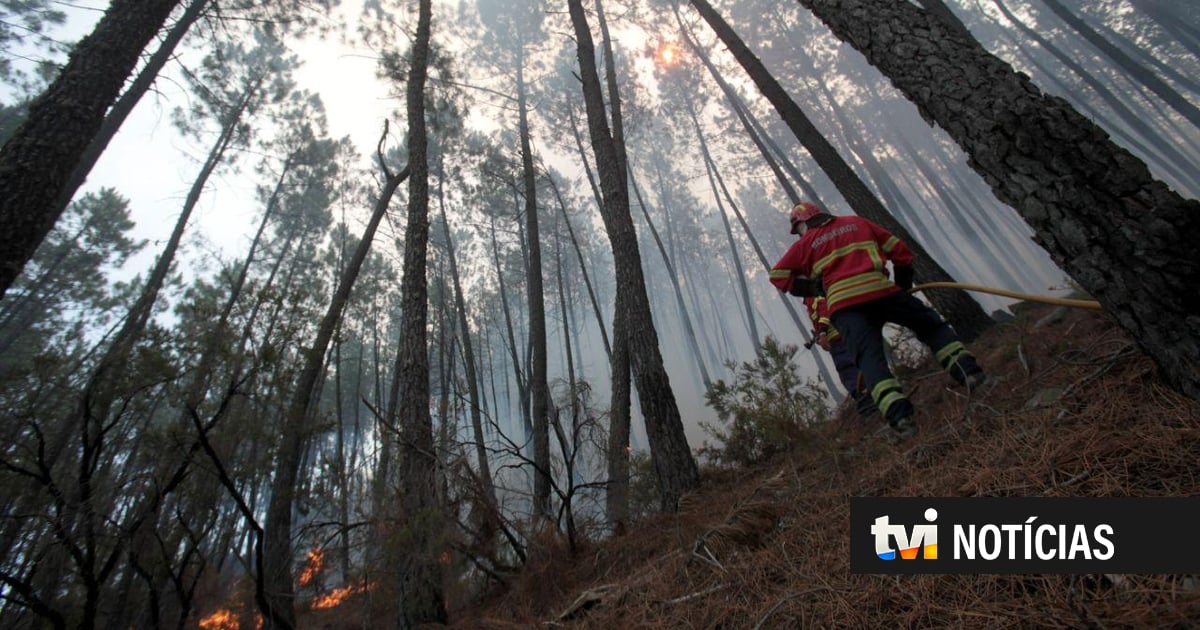 El incendio que arrasó unas 12.000 hectáreas en España «se ha estabilizado»