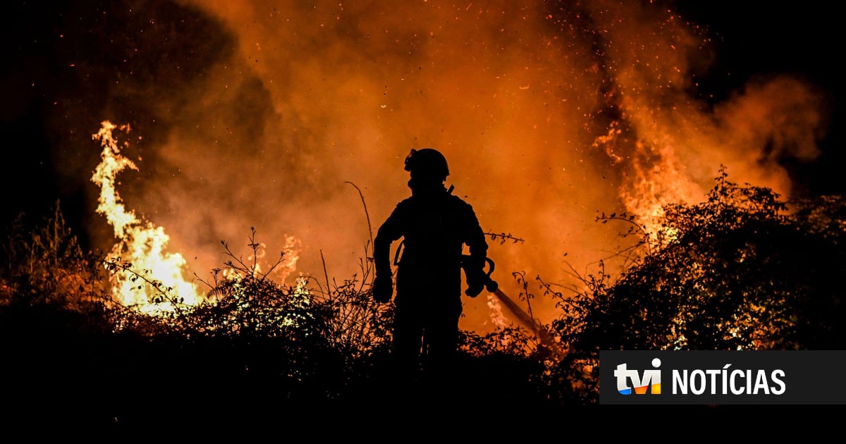 Portugal hará una “contribución significativa” para combatir los incendios en Chile
