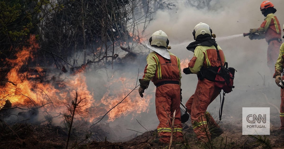 “Asturias no se quemó.  Le prendieron fuego»: cerca de 100 incendios activos iniciados por «terroristas de verdad»