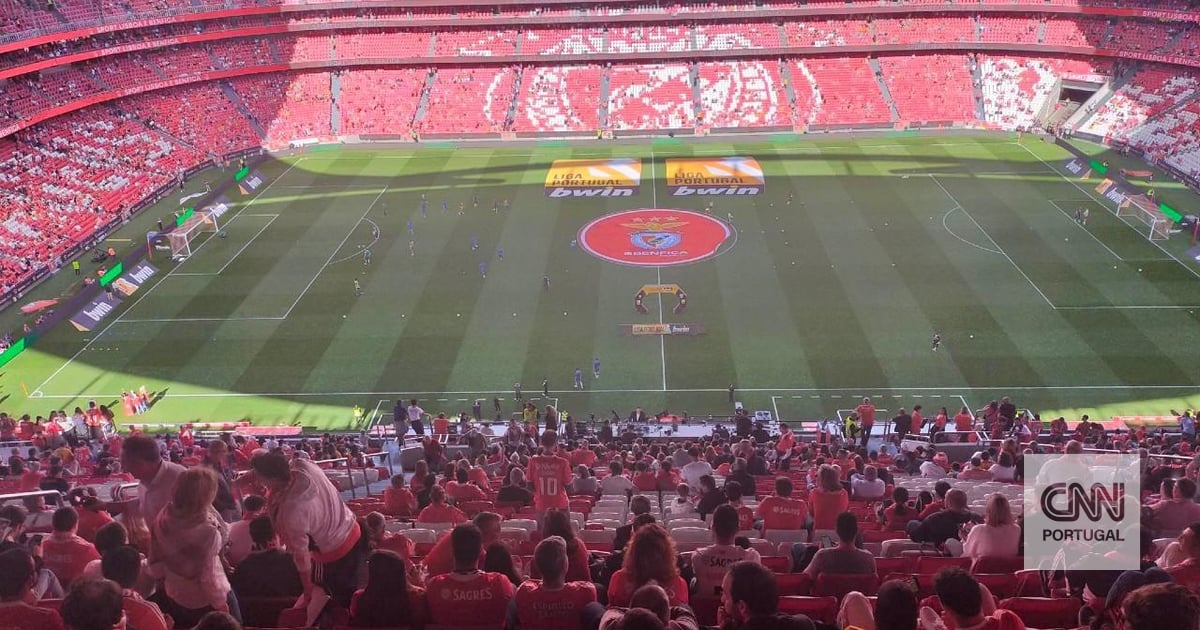 Benfica e FC Porto garantidos na Champions 2023/24: as equipas já apuradas