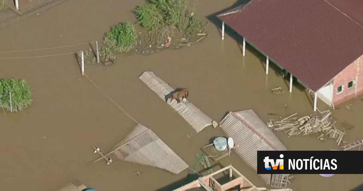 Depois da tragédia, a chuva vai voltar ao Rio Grande do Sul: a água está cinco metros acima do normal